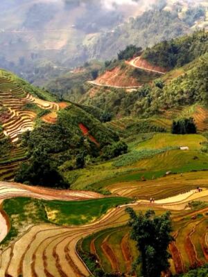 15 Incredible Places That Showcase Vietnam’s Natural Beauty and Rich History