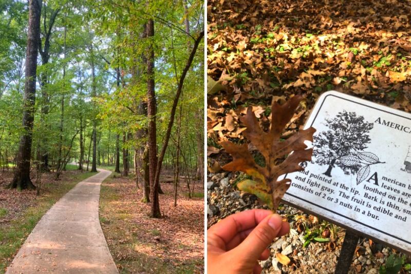 This Little Rock Arboretum Features Native Arkansas Trees and Educational Nature Trails
