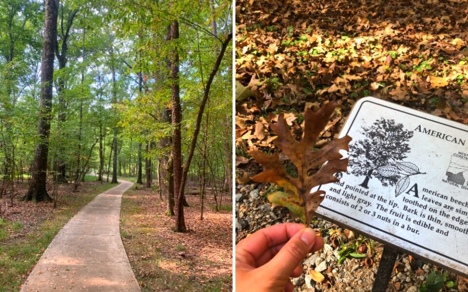 This Little Rock Arboretum Features Native Arkansas Trees and Educational Nature Trails