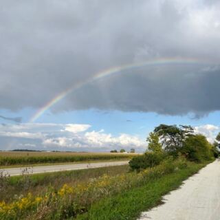 Fall Leaves Line These 7 Flat Illinois Rail Trails Where Every Mile Is Free