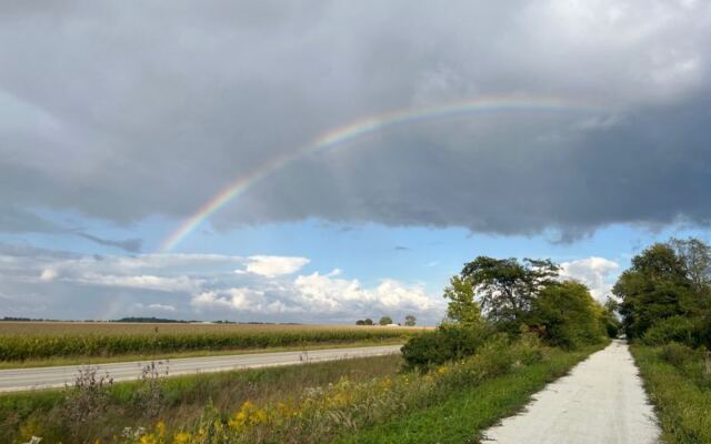 Fall Leaves Line These 7 Flat Illinois Rail Trails Where Every Mile Is Free
