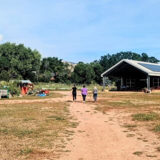 This Colorado Farm Stand Offers Eligible Shoppers 50% Off Fresh Produce