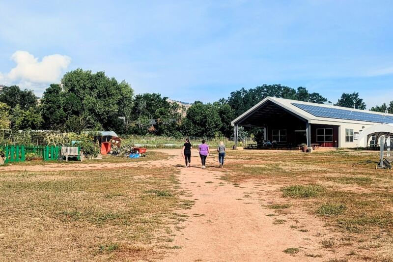 This Colorado Farm Stand Offers Eligible Shoppers 50% Off Fresh Produce
