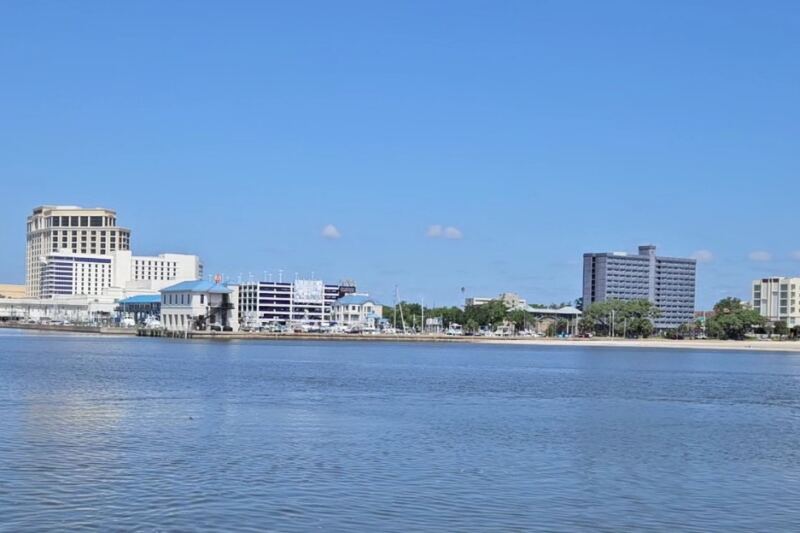 This Mississippi Boat Trip Might Pull Up Stingrays, Crabs And Pufferfish