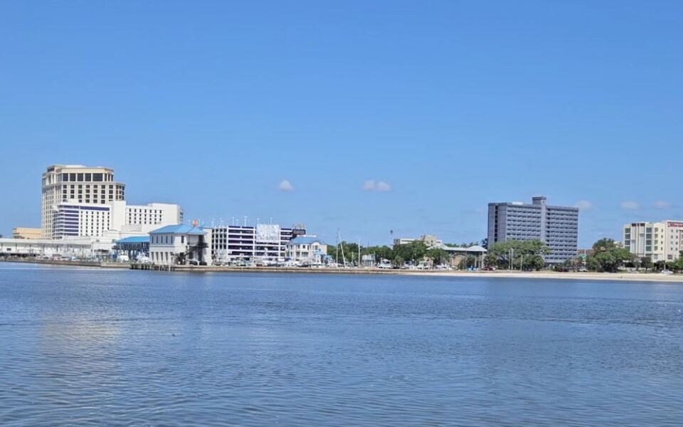 This Mississippi Boat Trip Might Pull Up Stingrays, Crabs And Pufferfish