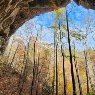 These 12 Tennessee Day Trips Feel Like Pure Magic Once the Leaves Start Turning