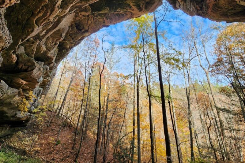 These 12 Tennessee Day Trips Feel Like Pure Magic Once the Leaves Start Turning