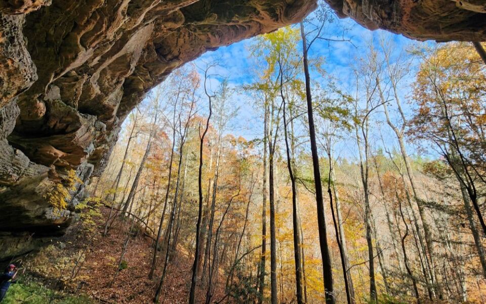These 12 Tennessee Day Trips Feel Like Pure Magic Once the Leaves Start Turning