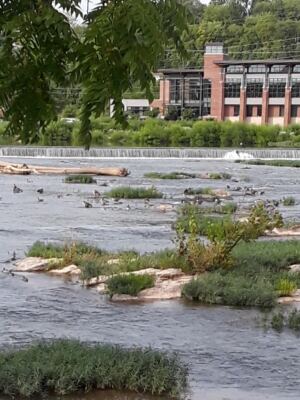 This Virginia City Turned Old Tobacco Warehouses Into A Lively Riverfront District