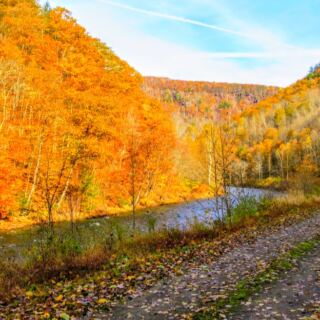 This Gentle Pennsylvania Trail Delivers Gorgeous Fall Color Without a Tough Climb