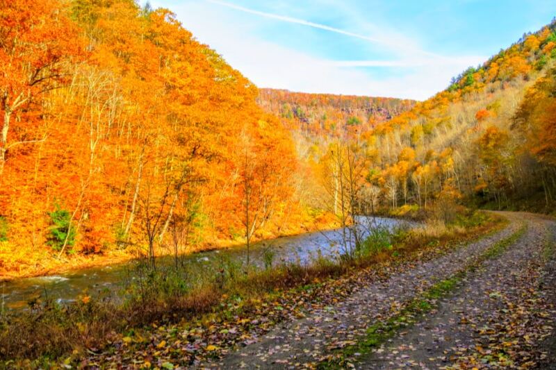 This Gentle Pennsylvania Trail Delivers Gorgeous Fall Color Without a Tough Climb