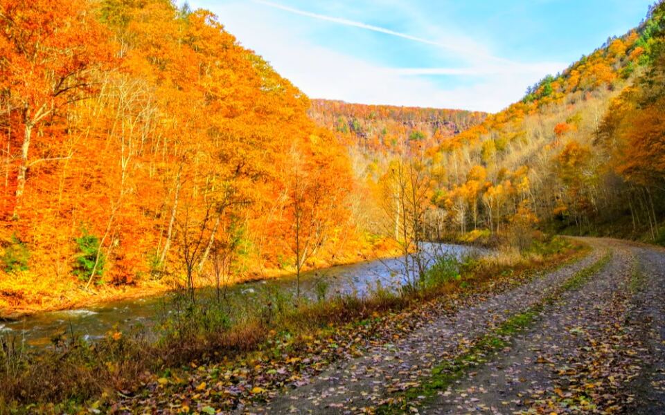 This Gentle Pennsylvania Trail Delivers Gorgeous Fall Color Without a Tough Climb