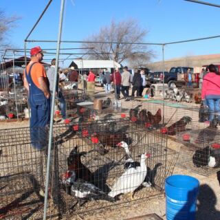 This Oklahoma Flea Market Is A Weekend Treasure Hunter’s Paradise, From Antiques To Live Chickens