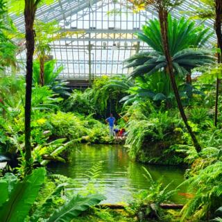 15 of the Most Beautiful Historic Greenhouses Still Open to Visitors