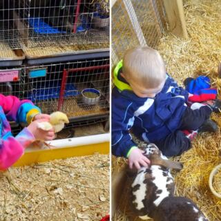 This West Michigan Farm Lets Kids Hold Baby Chicks and Bunnies
