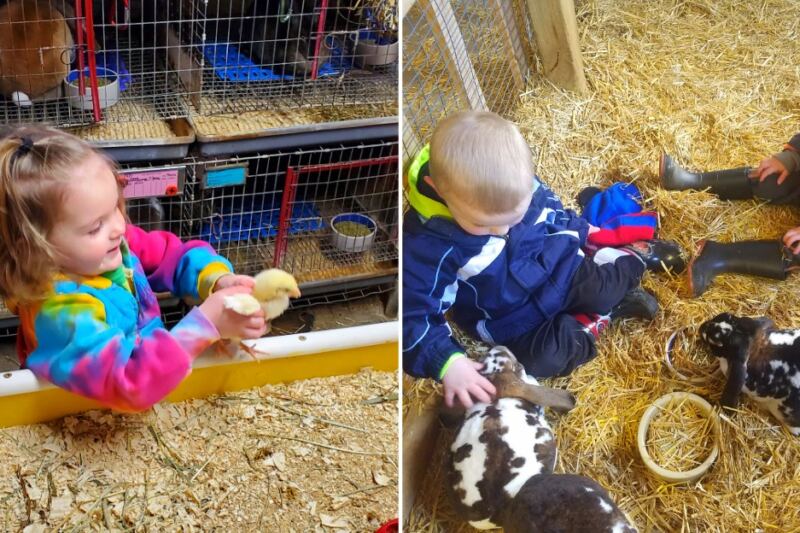 This West Michigan Farm Lets Kids Hold Baby Chicks and Bunnies