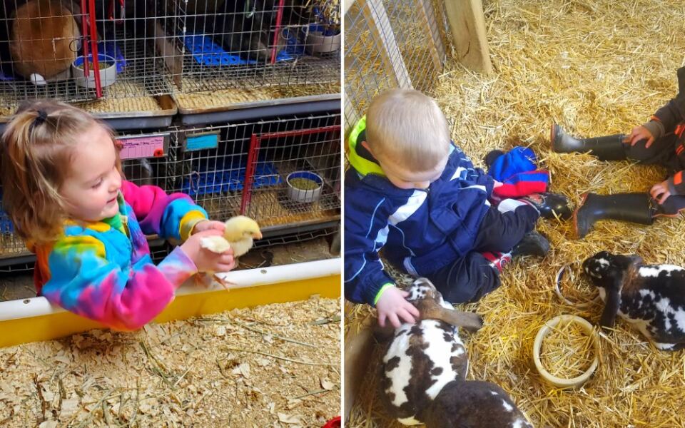 This West Michigan Farm Lets Kids Hold Baby Chicks and Bunnies