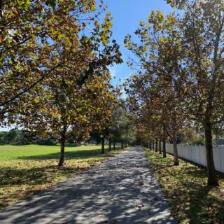 This Free Florida Rail Trail Rolls Past Old Citrus Groves and Lakeside Towns for 22 Shady Miles