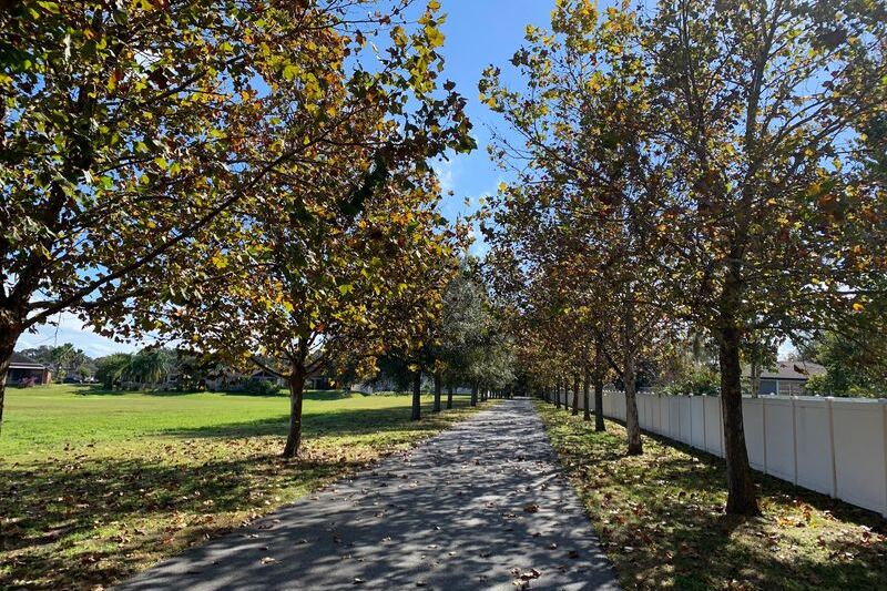 This Free Florida Rail Trail Rolls Past Old Citrus Groves and Lakeside Towns for 22 Shady Miles