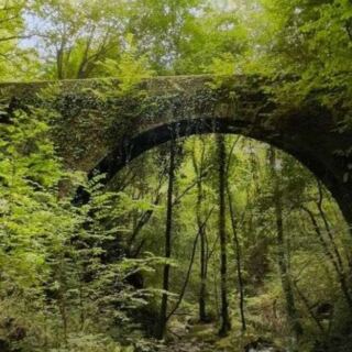 20 Incredible European Forests Most Travelers Still Don’t Know Exist