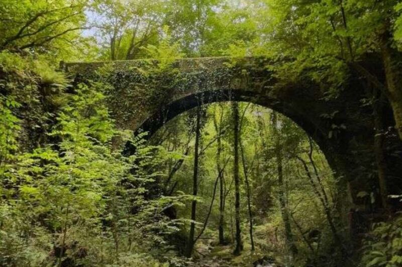 20 Incredible European Forests Most Travelers Still Don’t Know Exist