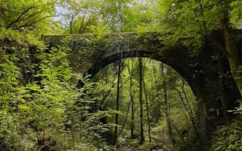 20 Incredible European Forests Most Travelers Still Don’t Know Exist