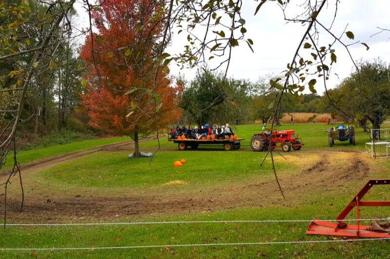 This Michigan Cider Mill Keeps a Classic Autumn Tradition Going Strong