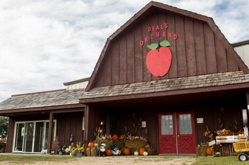 This Iowa Orchard Has Been Growing Apples In The Same Family Since 1917